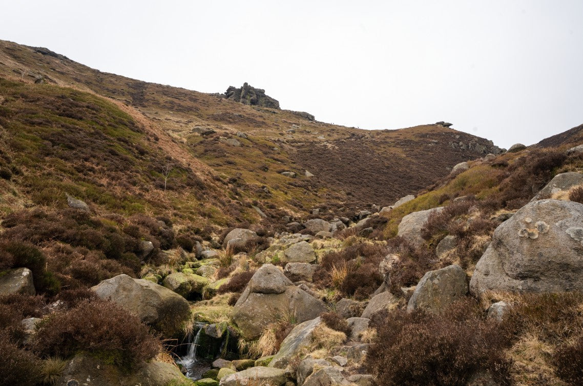 Peak District circular: Crowden Clough and Ringing Roger