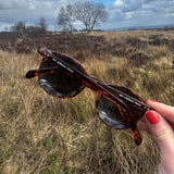 CHASING THE SUN BROWN Polarised Tortoiseshell Sunglasses